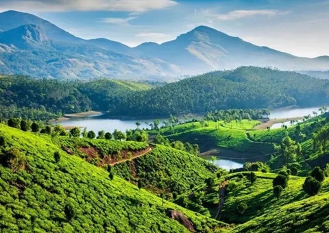 陕西在全国率先成立省级天然资源领域生态；ぷ菹蜃酆吓獬セ