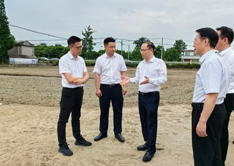 胡云赴眉山调研耕地；だ煤透叱叨扰┨锝ㄉ韫ぷ