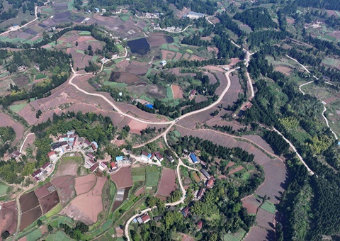 内江市东兴区局全面做好耕地； 全力做好用地保险