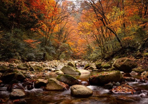 巴中光雾山—诺水河世界地质公园参与中国世界地质公园发展20周年留想活动