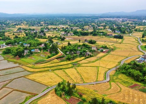 四川加强耕地调入流出治理&nbsp;&nbsp;确保实现不变利用耕地面积净增长