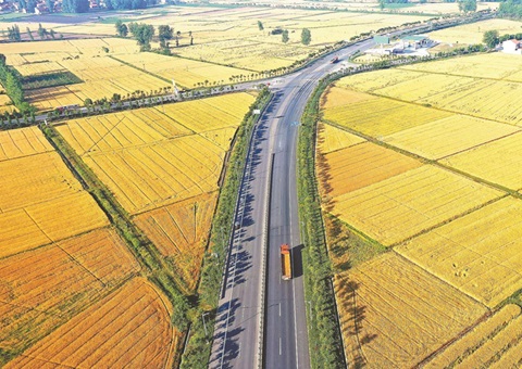 湖北嘉奖十五个耕保功效凸起县（视注区）