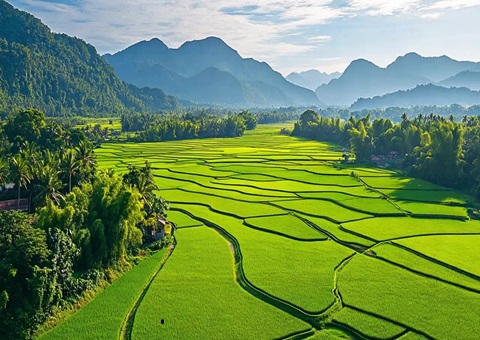 “天然资源+税务”协同共治！崇左筑牢耕地；び胨笆铡八老摺