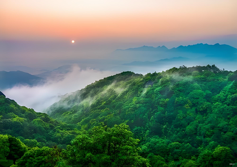 福建丛林提质四大行动打造苍生“幸？可健