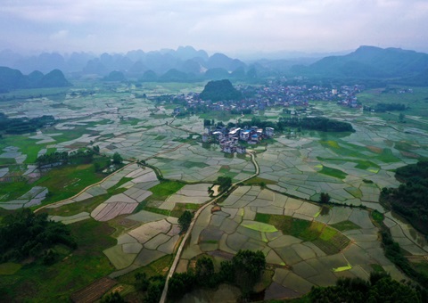 沉磅开释！玉林市29宗主题地块集中推介解锁投资新商机