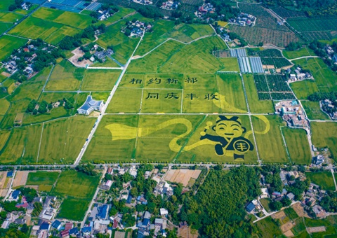 成都颁布耕地；す婊〗10年这样筑牢“天府粮仓”根基