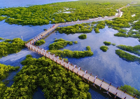北海市打出天然资源身分保险“组合拳”  精准赋能村落全面振兴