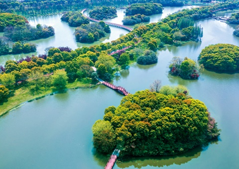 江西省湿地；ぢ室汛61.99%