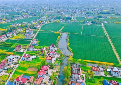 南通市局成立“三项机造”全力保险村落振兴用地需要