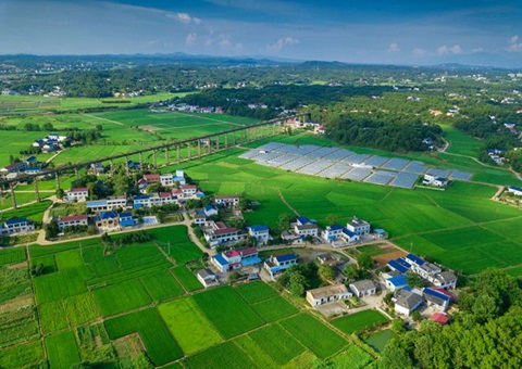 湖南：靶向发力盘活存量地皮资产<br>为206家机关企事业单元定造措置规划，盘活地皮2.6万亩