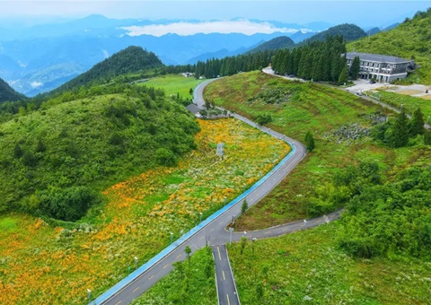 沉庆云阳：全国首例，获批1.8亿！