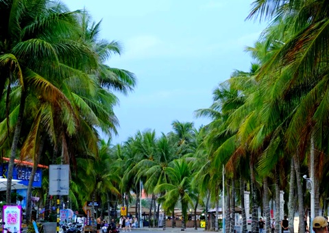 建“清冷城视妆，海南有何“凉方”?