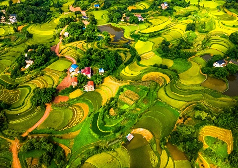 @农夫伴侣 2025年沉庆市耕地地力；げ怪婊戳