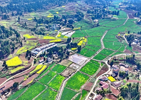 四川省全面推动耕地林地场地空间治理“一张图”建设