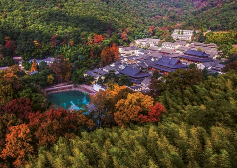 浙江：丛林公园生态游览若何高质量发展？